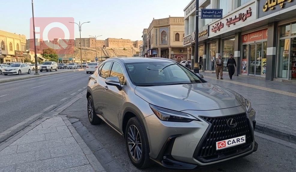 Lexus NX